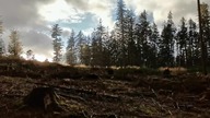 Idziemy do lasu na grzyby? Góra Trojak Lądek-Zdrój #grzyby #grzybobranie #nature