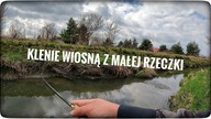 Klenie wiosną z małej rzeczki // kwiecień 2023