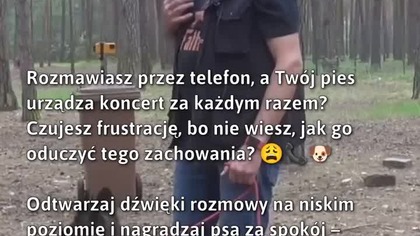 Pokonaj strach swojego psa!  
#PsiPsychologia #TreningPsa #PiesStrach