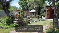 Ogród kuRaż - 06 czerwiec 2021