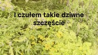 Wracaj do domu! chwila którą pamięta każdy