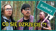 SUCHARY w LESIE - Suchary #149