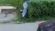 Przytulają się PANOWIE ŻULOWIE