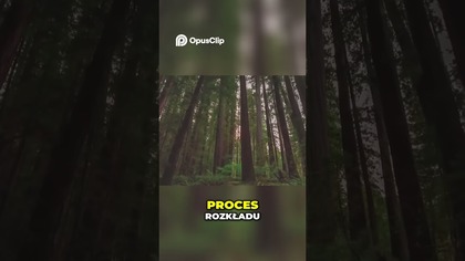 Czarnobyl Tajemnice Natury w Strefie Wykluczenia