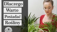 Dlaczego MUSISZ mieć ROŚLINY w domu?!