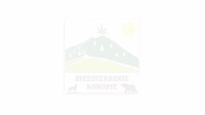 Andrzej Rady - Pierwotny Język - wykład