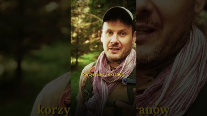 Szkodliwy wpływ ekranów na zdrowie dzieci