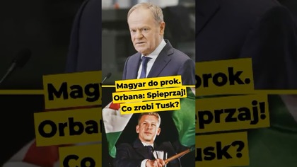 Magyar do prok.  Orbana: Spieprzaj! Co zrobi Tusk? #węgry #tusk #polska #magyar #orban