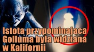 Dziwne stworzenie podobne do Golluma zostało nagrane w Kalifornii!