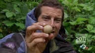 Man. vs. Wild. s05e04. Georgia-Eastern. Europe. 720p