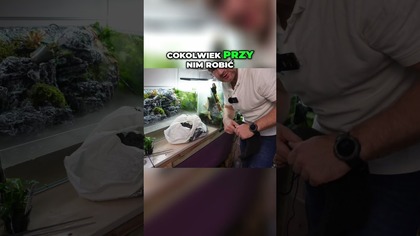 lawa i filtry  budowa akwarium krok po kroku