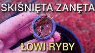 325 SKIŚNIĘTA ZANĘTA ŁOWI RYBY