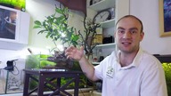Paludarium ? Niewypał ;/