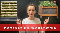 W czym i gdzie sadzić, wysiewać warzywa i zioła? Pomysły na ogród warzywny 