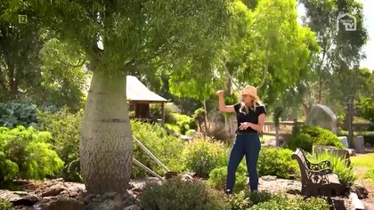 HOMETV - 30-03-2025 - Reklamy, Zapowiedzi