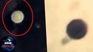 Kierowca z USA uwiecznił UFO! Wyglądało jak gałka oczna #shorts