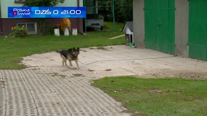 TVN24 - 18-07-2024 - Ogłoszenie nadawcy (fragment), Reklama, Sponsorzy