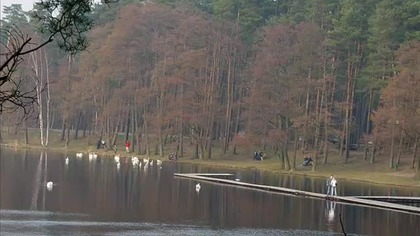 Wiosna
