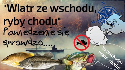 Powiedzenie: Wiatr ze wschodu ryby chodu  słabe branie ryb