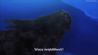 Zero no Tsukaima Final 11 PL Online HD