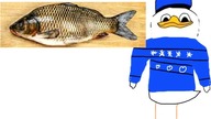 dolan idzie po karpia