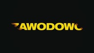 ZAWODOWCY w maju w kinach!