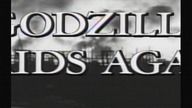 Godzilla kontratakuje