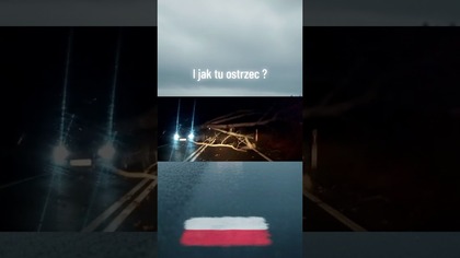 Mrygał, by ostrzec ale nie zdążył!  #polscykierowcy #wypadek #crash