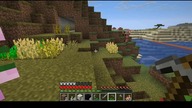 I think he got lost here #minecraft #Piglin #Short #Zombiepiglin #Bruh #Shorts #Game #Nether