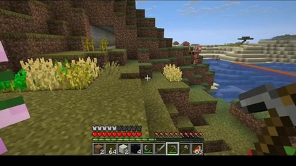 I think he got lost here #minecraft #Piglin #Short #Zombiepiglin #Bruh #Shorts #Game #Nether