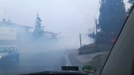 Bo diesel musi kopcić