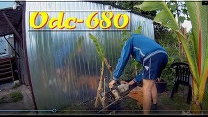 -Zakupy..Znowu piła,basjoo przesadzanie,pierwsze dawki nawozu kristalon,coś się zbuduje. Odc-680