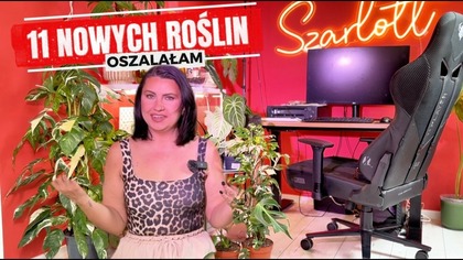NOWE ROŚLINY! ZAKUPY! AŻ 11 NOWYCH ROŚLIN