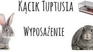 Kącik Tuptusia