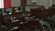 Dobromir Sośnierz: Nie twórzy PROWIZORKI pod jednorazową gafę!