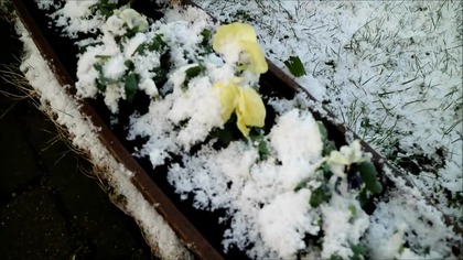 WIELKANOCNE OZDABIANIE cz2 - VLOGOWY - KWIECIEŃ