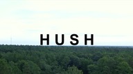 Hush (2016) Lektor PL [1080p]