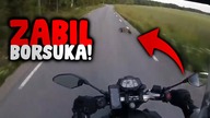 MOTOCYKLISTA PRZEJECHAŁ PO ZWIERZĘCIU