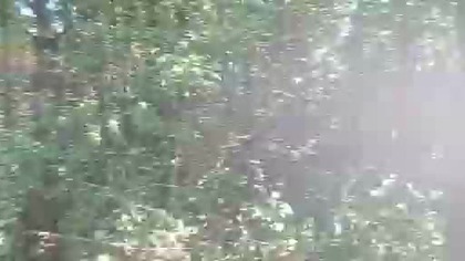 Pogowiany.  Rezerwat przyrody.  Gmina Dziewieniszki.