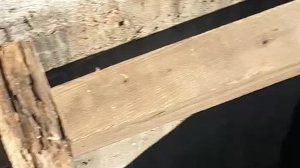 Ten dach to już ledwo się trzymał #shorty #works #construction #praca #shorty