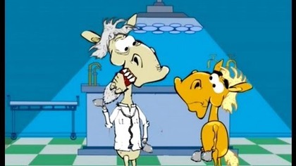 KOŃ RAFAŁ (HD) - Braciak, Sen, Doktor