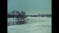 Wierna rzeka (1983)