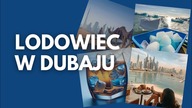 zaskakujące powody eksportu lodu arktycznego do dubaju!