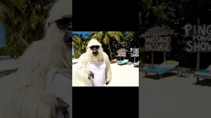 Yeti w Tajlandi  #zabawne #śmieszne #yeti #haha #śmiech #wesoło #funny #tailandia #komedia #humor