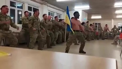 Tak instruktorzy NATO szkolą ukraińskich żołnierzy