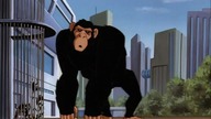 Superman TAS odcinek 26 PL