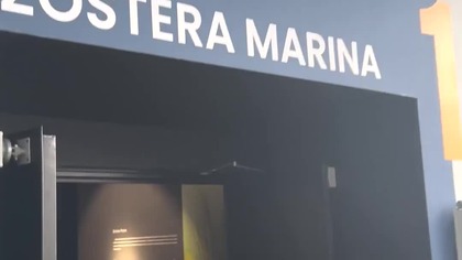 Akwarium Gdynskie (January 2025)