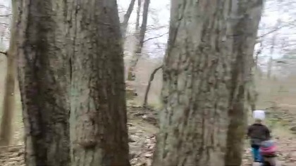 Trójka 16 -latków wygłupia się w lesie