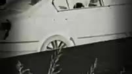 Baleron Pędzlu RAKIETNICĄ