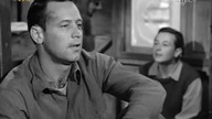 Stalag 17 - lektor pl ( 1953 )